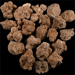 Large Desert Rose Gypsum Mineral Specimen Group [20]