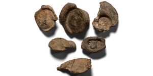 Group of Six [6] Roman PB Seals.