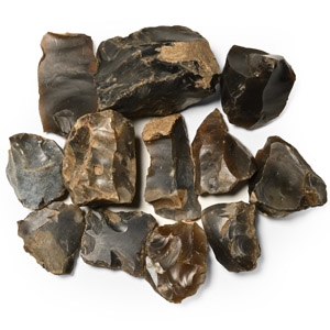 Stone Age British Worked Flint Core Group