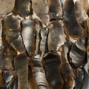 Stone Age British Worked Flint Knife Blade Group