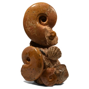 Orange Fossil Ammonite Display