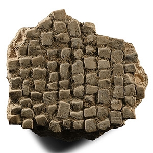 Roman Camulodunum Stone Mosaic Floor Section