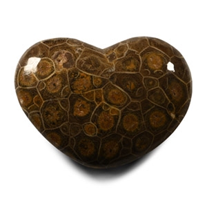 Polished Coral Head Heart Palm Stone