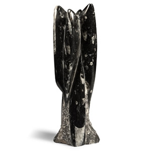 Polished Fossil Orthoceras Column