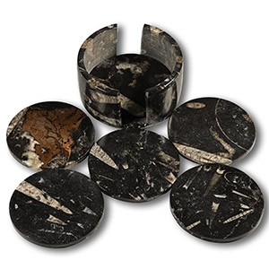Polished Fossil Orthoceras Coaster Set