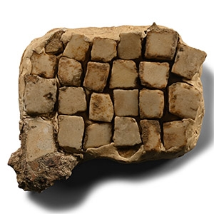 Roman Floor Mosaic Section