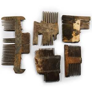 Medieval Thames Bone Comb Collection