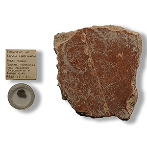 Roman Lead Coffin and Painted Fresco Fragments