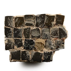 Roman Floor Mosaic Section