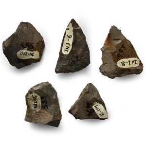 Native American Stone Arrowhead and Tool Collection