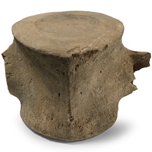 Massive Fossil Whale Vertebra