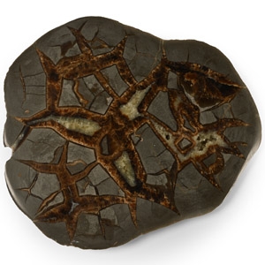 Cut and Polished Septarian Nodule Slice