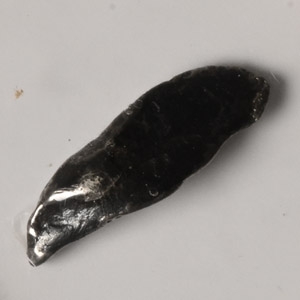 Odessa Fall Meteorite