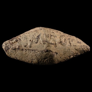 Roman Pompey the Great Battle of Munda Lead Slingshot
