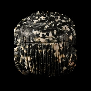 Egyptian Diorite Stone Scarab