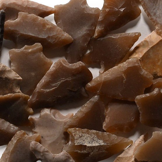 Stone Age Barbed and Tanged Arrowhead Collection
