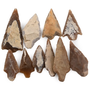 Large Stone Age Barbed and Tanged Arrowhead Collection