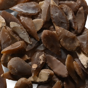 Stone Age Leaf-Shaped Arrowhead Collection
