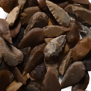Stone Age Leaf-Shaped Arrowhead Collection