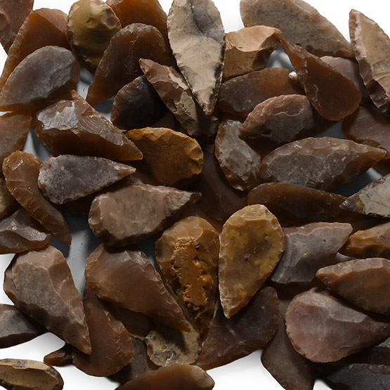Stone Age Leaf-Shaped Arrowhead Collection
