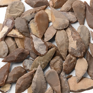 Large Stone Age Leaf-Shaped Arrowhead Collection