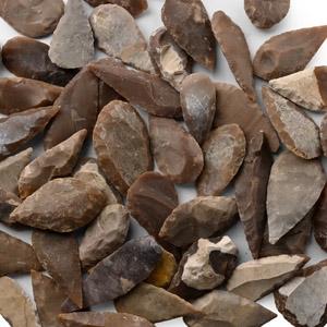 Large Stone Age Leaf-Shaped Arrowhead Collection