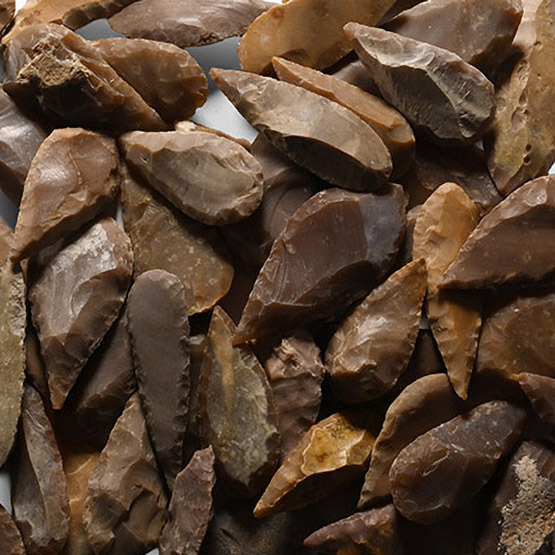 Large Stone Age Leaf-Shaped Arrowhead Collection