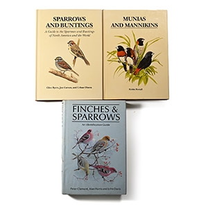 Bird Identification Guides: Sparrows, Buntings, Munias, Mannikins, Finches & Sparrows - 3 Titles