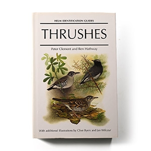 Helm Bird Identification Guide: Thrushes