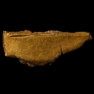 Viking Age Gold Hack Money Section