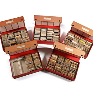 Historic Collection of 678 Slides of Archaeological Sites in Egypt