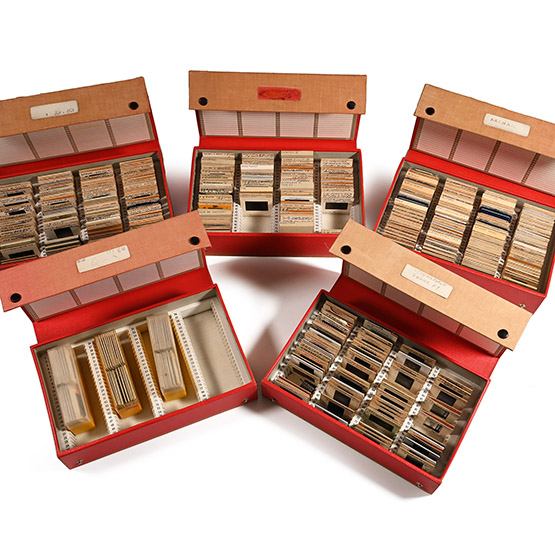 Historic Collection of 565 Slides of Egyptian Archaeological Sites and Artefacts