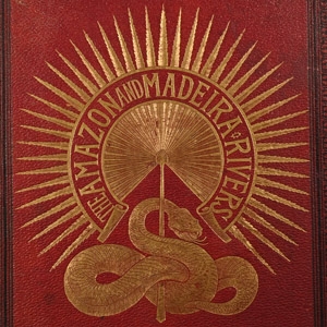 The Amazon and Madera Rivers