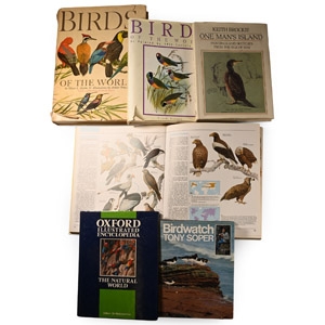 Books on Birds - 6 Titles