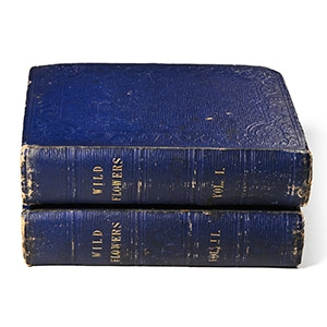 Books on Wild Flowers  - 2 Volumes