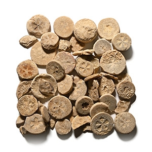 Egyptian Limestone Floral Inlay Group