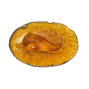 Greek Glass Cameo with Dolphin
