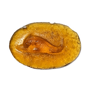 Greek Glass Cameo with Dolphin