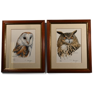 Trevor Boyer - Limited Edition Framed Owl Print Pair