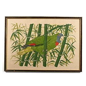 Framed Red-Necked Amazon Parrot on Linen
