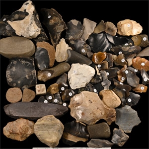 Stone Age Collection of Excavation and Field-Walking Finds From Clacton