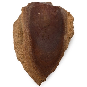 French Stone Age Neanderthal Levallois Point