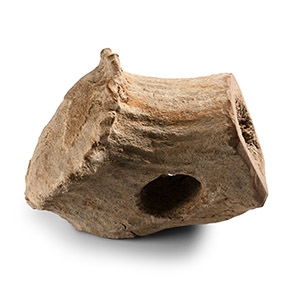 British Stone Age Socketted Bone Mace Head