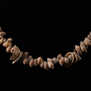 Egyptian Shell Bead Necklace