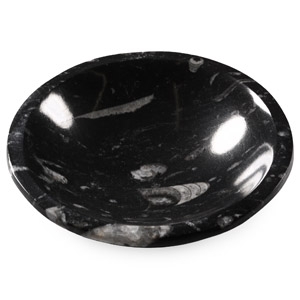 Polished Fossil Orthoceras Bowl