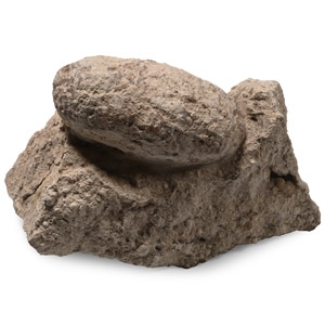 Fossil Crocodile Egg on Matrix