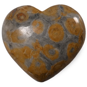Polished Fossil Coral Head Heart