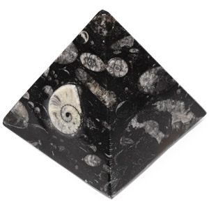 Polished Fossil Goniatite and Orthoceras Pyramid Paper Weight
