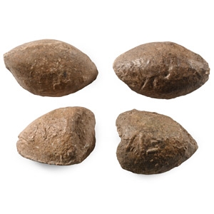 Roman Inscribed Lead Slingshot Group