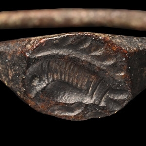 Large Saxon Period Bronze Ring with Porcupine